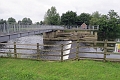 04 07 16_8669_edited-1